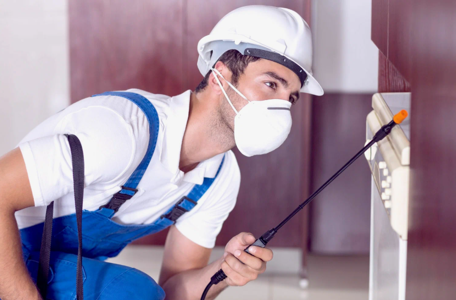 Tampa local pest services